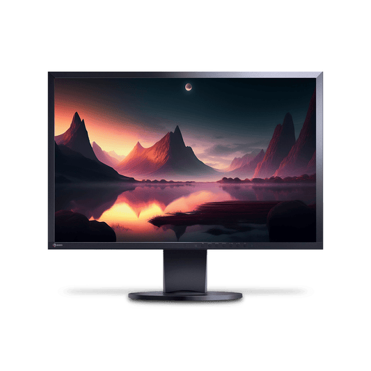 EIZO Flexscan EV2216W 22" LCD-Monitor schwarz "refurbished"